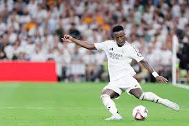 不仅显露了 不仅显露了